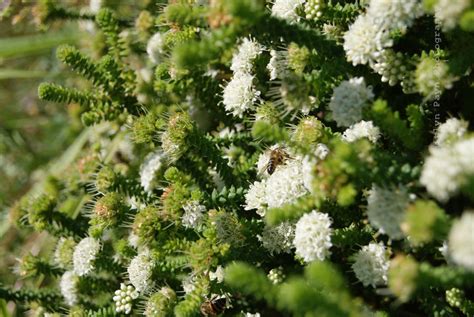 Stefan Trost SlippyClerk Free