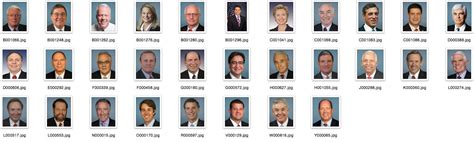 Triacies Face Cropper 1.1.0.0